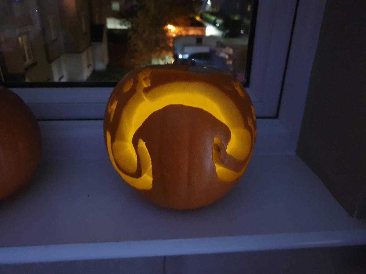 School of Funk Project&nbsp;Pumkin